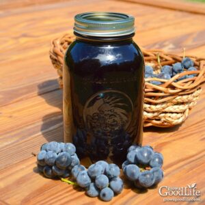 Concord Grape Juice/Jelly